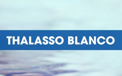 Infogérance informatique – Témoignage Thalasso Blanco